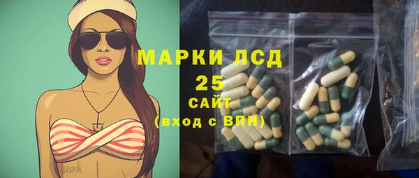 СК Алексин