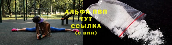 СК Алексин