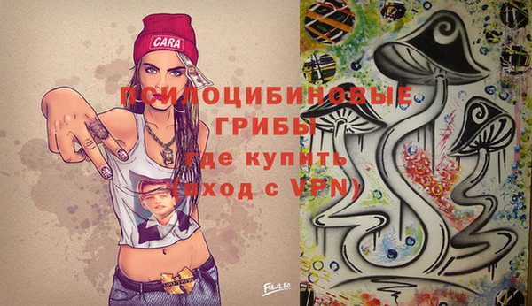 прущая мука Алзамай
