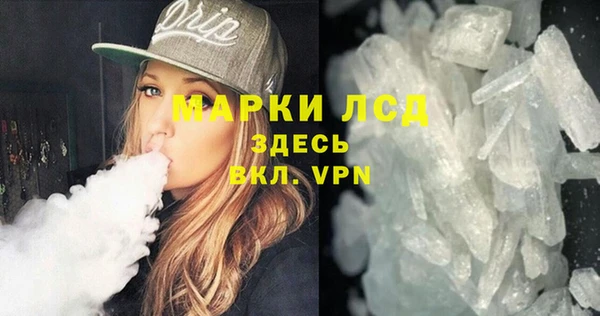 мяу мяу мука Покачи