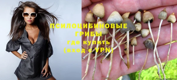 прущая мука Алзамай