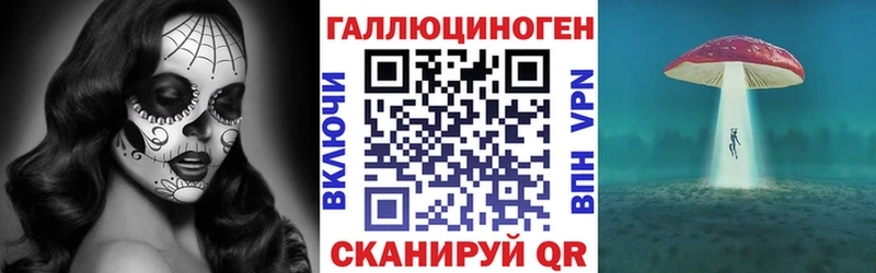 mega вход  Островной  Псилоцибиновые грибы мицелий 